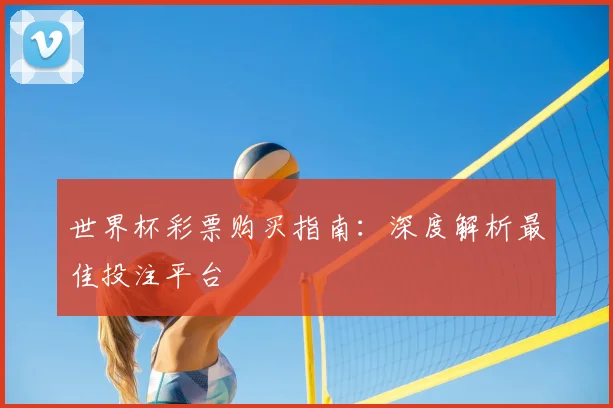 世界杯彩票购买指南：深度解析最佳投注平台