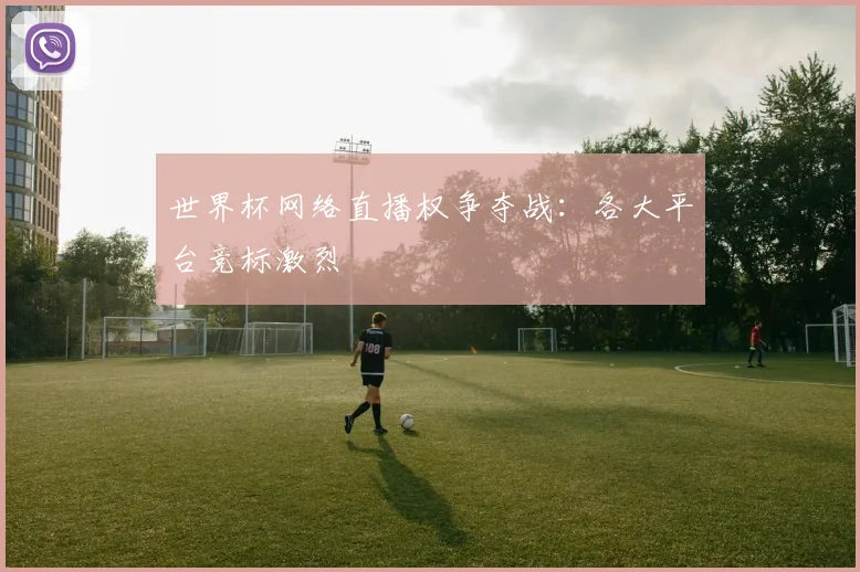 世界杯网络直播权争夺战：各大平台竞标激烈
